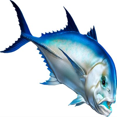 Giant Trevally Beautiful Fish Decal | Fishing Decal for Boat, Car, Vehicle, Truck Etc | Waterproof Vinyl Sticker | Many Sizes & Styles Available | 12" to 40" by Digital Fish Art (X-Large, Position 1)