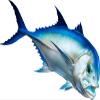Giant Trevally Beautiful Fish Decal | Fishing Decal for Boat, Car, Vehicle, Truck Etc | Waterproof Vinyl Sticker | Many Sizes & Styles Available | 12" to 40" by Digital Fish Art (X-Large, Position 1) view 1
