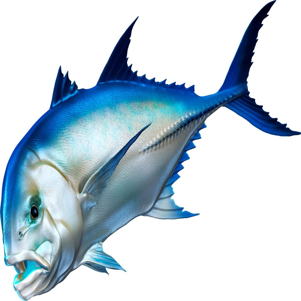 Giant Trevally Beautiful Fish Decal | Fishing Decal for Boat, Car, Vehicle, Truck Etc | Waterproof Vinyl Sticker | Many Sizes & Styles Available | 12" to 40" by Digital Fish Art (Large, Position 1R)