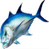 Giant Trevally Beautiful Fish Decal | Fishing Decal for Boat, Car, Vehicle, Truck Etc | Waterproof Vinyl Sticker | Many Sizes & Styles Available | 12" to 40" by Digital Fish Art (Large, Position 1R) view 1