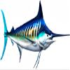 White Marlin Beautiful Fish Decal | Fishing Decal for Boat, Car, Vehicle, Truck Etc. | Waterproof Vinyl Sticker | Many Sizes & Styles Available | 12" to 40" by Digital Fish Art (X-Large, Position 3) view 1