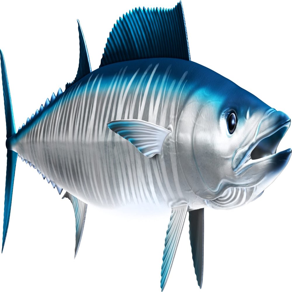 Wahoo Beautiful Fish Decal | Fishing Decal for Boat, Car, Vehicle, Truck Etc. | Waterproof Vinyl Sticker | Many Sizes & Styles Available | 12" to 40" by Digital Fish Art (X-Large, Position 6)