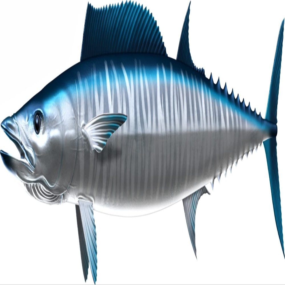 Wahoo Beautiful Fish Decal | Fishing Decal for Boat, Car, Vehicle, Truck Etc. | Waterproof Vinyl Sticker | Many Sizes & Styles Available | 12" to 40" by Digital Fish Art (Large, Position 4R)