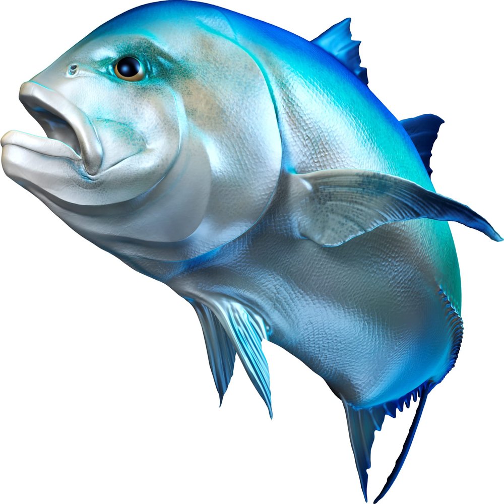 Giant Trevally Beautiful Fish Decal | Fishing Decal for Boat, Car, Vehicle, Truck Etc | Waterproof Vinyl Sticker | Many Sizes & Styles Available | 12" to 40" by Digital Fish Art (X-Large, Position 5)