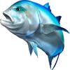 Giant Trevally Beautiful Fish Decal | Fishing Decal for Boat, Car, Vehicle, Truck Etc | Waterproof Vinyl Sticker | Many Sizes & Styles Available | 12" to 40" by Digital Fish Art (X-Large, Position 5) view 1