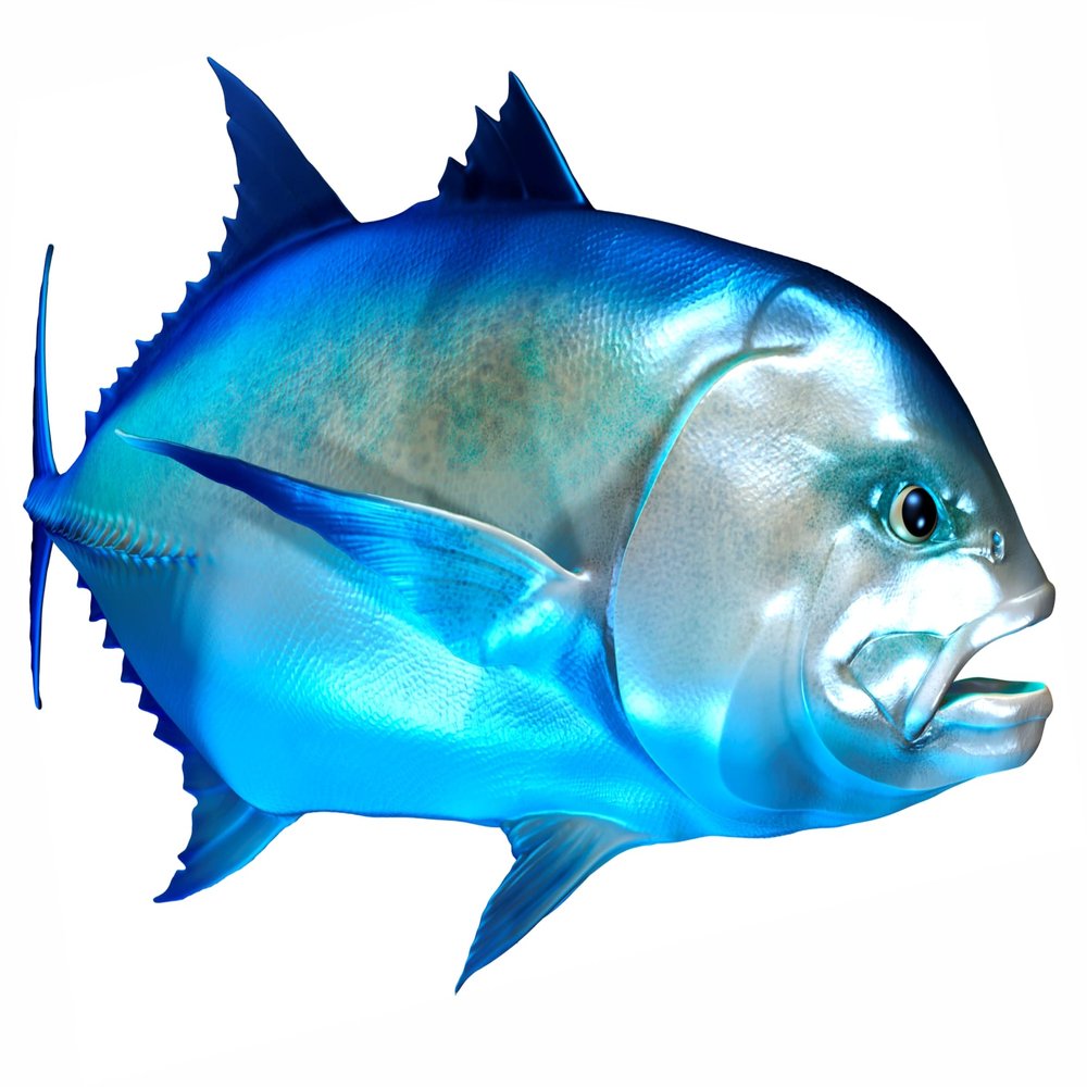 Giant Trevally Beautiful Fish Decal | Fishing decal for Boat, Car, Vehicle, Truck Etc | Waterproof Vinyl Sticker | Many Sizes & Styles Available | 12" to 40" By Digital Fish Art (X-Large, Position 6R)