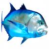 Giant Trevally Beautiful Fish Decal | Fishing decal for Boat, Car, Vehicle, Truck Etc | Waterproof Vinyl Sticker | Many Sizes & Styles Available | 12" to 40" By Digital Fish Art (X-Large, Position 6R) view 1