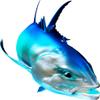 Giant Trevally Beautiful Fish Decal | Fishing Decal for Boat, Car, Vehicle, Truck Etc | Waterproof Vinyl Sticker | Many Sizes & Styles Available | 12" to 40" by Digital Fish Art (Large, Position 3R) view 1