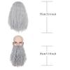 Yan Dream Grey Men Long Curly Hair Wig with Beard, Heat Resistant Synthetic, Classic Style, Adult Men's Cosplay Wig view 2