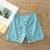 POLG Swim Trunks for Toddler Baby Boy Swim Shorts Quick Dry Bathing Suit Swimsuit Summer Swimwear Elastic Adjustable Waist (H-1PC, 4-5 Years) view 3