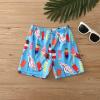 POLG Swim Trunks for Toddler Baby Boy Swim Shorts Quick Dry Bathing Suit Swimsuit Summer Swimwear Elastic Adjustable Waist (D-2PCS, 18-24 Months) view 3