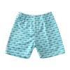 POLG Swim Trunks for Toddler Baby Boy Swim Shorts Quick Dry Bathing Suit Swimsuit Summer Swimwear Elastic Adjustable Waist (H-1PC, 2-3 Years) view 1