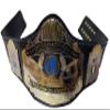 BPS Customized AWA WORLD HEAVYWEIGHT WRESTLING CHAMPIONSHIP TITLE BELT ADULT view 1