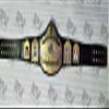 BPS Customized AWA WORLD HEAVYWEIGHT WRESTLING CHAMPIONSHIP TITLE BELT ADULT view 2