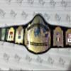 BPS Customized AWA WORLD HEAVYWEIGHT WRESTLING CHAMPIONSHIP TITLE BELT ADULT view 3