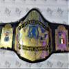 BPS Customized AWA WORLD HEAVYWEIGHT WRESTLING CHAMPIONSHIP TITLE BELT ADULT view 4