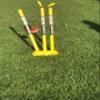 SS Cricket Full Size Plastic Stumps with 1 Base and 2 bails (Adult Size) view 2