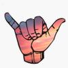 Shaka Brah Pink Sunset Bumper Sticker Vinyl Decal 5" view 1