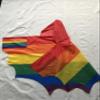 3*5ft 100%polyester LGBTIQA Gay Pride Rainbow Bat Wings Costume Cape Flag view 2