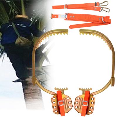 wzfdm Tree Climbing Spikes, Climbing Tree Stand,Tree Stand with Safety Belt Adjustable Foot Buckle Unique Support Design Wearable Walking for Hunting Tree Work,Type250