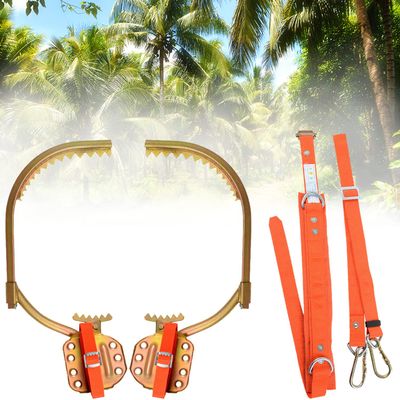 wzfdm Tree Climbing Spikes for Tree Work,Tree Climbing Spikes,Climbing Tree Spikes for High Altitude Logging,Fruit Picking Hunting Observation,Type250