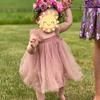 1st First Birthday Outfit Girl Baby Wedding Flower Girl Dress Toddler Tutu Tulle Princess Summer Dress+Flower Headband One Year Old Birthday Gifts Cake Smash Party Photoshoot Pink 18-24 Months view 4