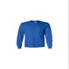 Gildan Long Sleeve T-Shirt Ultra Cotton (G24000)(Royal) view 1
