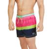 Speedo Men's Swim Trunk Short Length Redondo Striped view 4