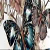 Tailgate Vinyl Wrap Full Color Graphics Truck Decal Butterflies Sticker view 2