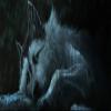 Tailgate Vinyl Wrap Full Color Graphics Truck Decal White Wolf #2 Sticker view 2