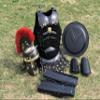 Nautical-Mart Medieval Muscle Body Armor Set Roman Centurion Helmet, Leg & Arm Guard, Shield Halloween Costume (Red Plume) view 1