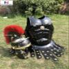Nautical-Mart Medieval Muscle Body Armor Set Roman Centurion Helmet, Leg & Arm Guard, Shield Halloween Costume (Red Plume) view 2