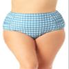 Anne Cole Plus Size Side Shirred High-Waist Bottoms Blue Plaid Print 20W view 1