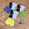 Baby Boy 2-Piece Clothing Set, 100% Cotton Bird Print Tee and Shorts Set for Baby Boy and Toddler, Toddler Outfits and Gifts (Green, 3-6 Months) view 3
