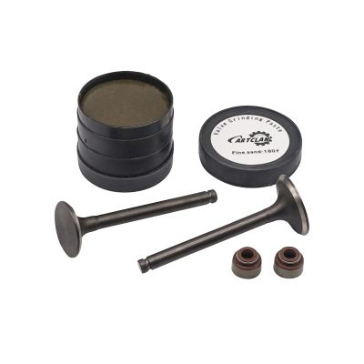 CartClan Engine Intake Exhaust Valve & Seal Kit for Club Car Gas 1992-up DS & Precedent Golf Cart with FE290 Engines OEM#1016447 1016448 80#+180# 1016566