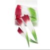 MILUWOND 4 Inch Shield Three Color Arrow Feather Fletching Vanes Right Wing for Archery Arrow50 Pack view 4