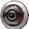 Dragon Viking Shield for Battle 24 Inches, Medieval Fully Functional Shield, Round Shield, Cosplay Battle Ready Shield Best Gifts view 2