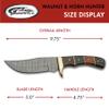 SZCO Supplies 9.75" Horn/Wood Handle Full Tang Damascus Steel Outdoor Hunting Knife With Sheath view 3