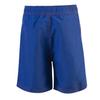 Dolfin Little Toddler Boys Swimsuit Solid Swim Trunks Royal view 3