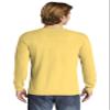Comfort Colors Men's Adult Long Sleeve Tee, Style 6014 (X-Large, Butter) view 2