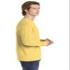 Comfort Colors Men's Adult Long Sleeve Tee, Style 6014 (X-Large, Butter) view 3