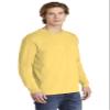 Comfort Colors Men's Adult Long Sleeve Tee, Style 6014 (X-Large, Butter) view 4