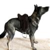 Equitem Leather Rocking Horse, Display or Dog English All Purpose Saddle with Leathers and Irons (Black with Pink) view 3