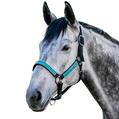 Kensington Premium Nylon Halter Size: XL-Lrg.Horse Color: 2021 - Atlantis