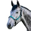 Kensington Premium Nylon Halter Size: XL-Lrg.Horse Color: 2021 - Atlantis view 1