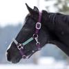 Kensington Premium Nylon Halter Size: M-Small Horse Color: 2019 - Imperial Jade view 2