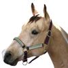 Kensington Premium Breakaway Halter with Padded Nose  Added Breakaway Safety Measures  Snap at Throat for Identical Fit Each Time Size: X-Large - Color: Wine w/Imperial Jade view 1