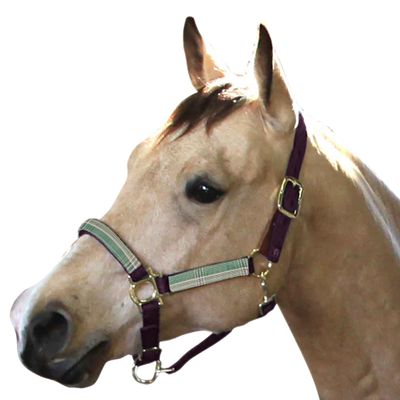 Kensington Premium Breakaway Halter with Padded Nose  Added Breakaway Safety Measures  Snap at Throat for Identical Fit Each Time Size: Large - Color: Wine w/Imperial Jade