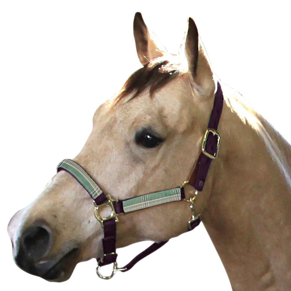 Kensington Premium Breakaway Halter with Padded Nose  Added Breakaway Safety Measures  Snap at Throat for Identical Fit Each Time Size: Large - Color: Wine w/Imperial Jade