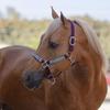 Kensington Premium Breakaway Halter with Padded Nose  Added Breakaway Safety Measures  Snap at Throat for Identical Fit Each Time Size: Large - Color: Wine w/Imperial Jade view 2